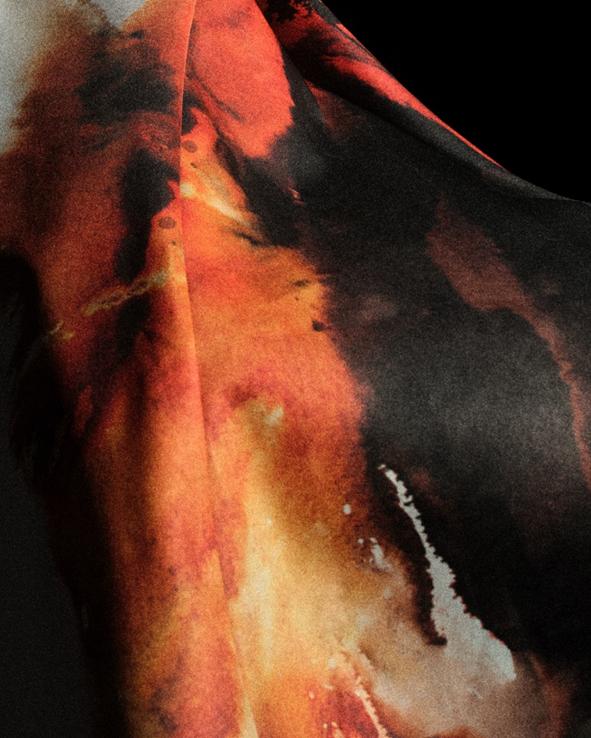 胆采用了一 胆采用了一