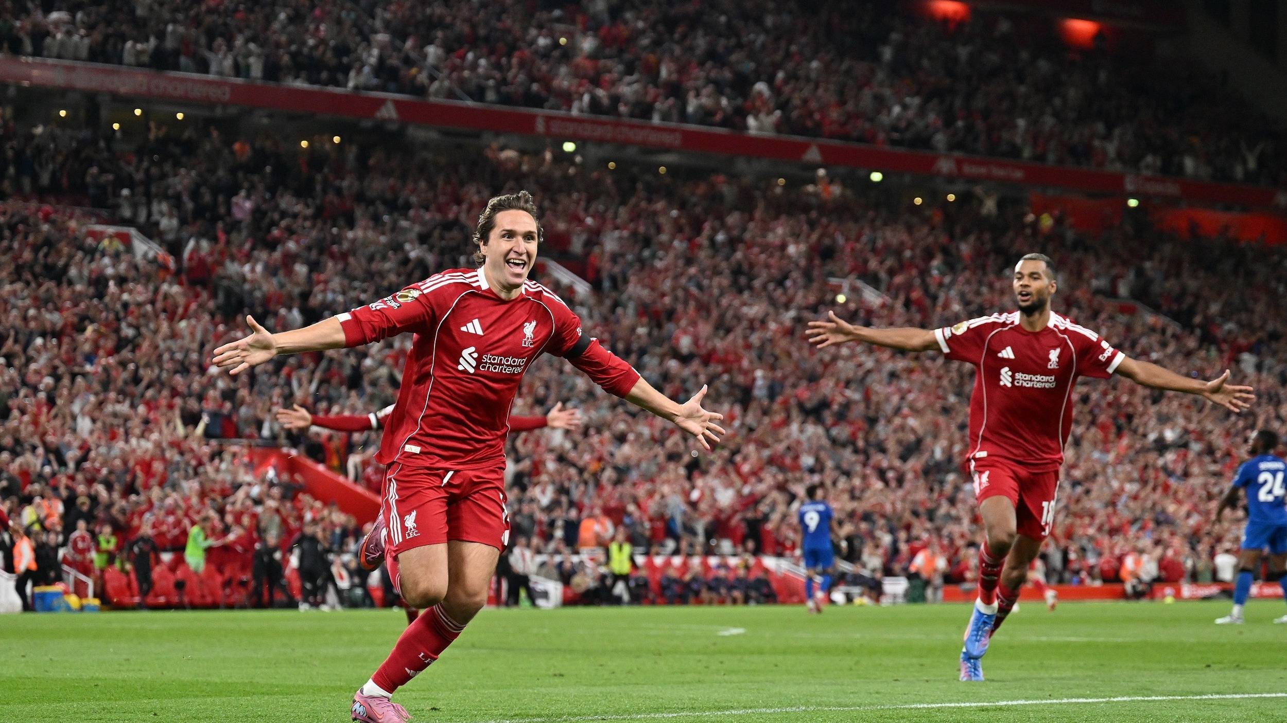 能成为字母 能成为字母